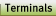 Terminals